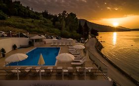 Golden Sunset